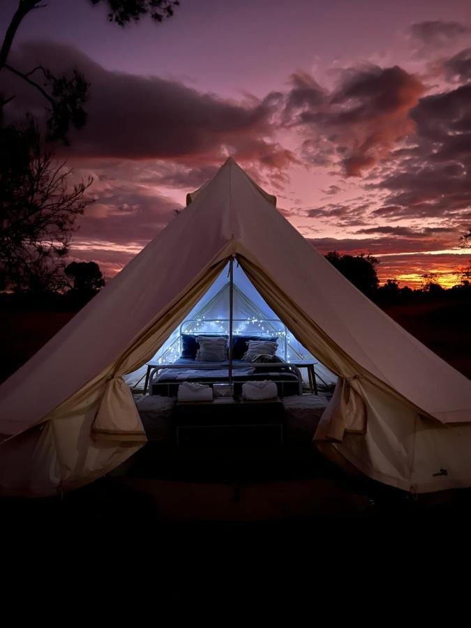 Mungo Lodge Exterior photo