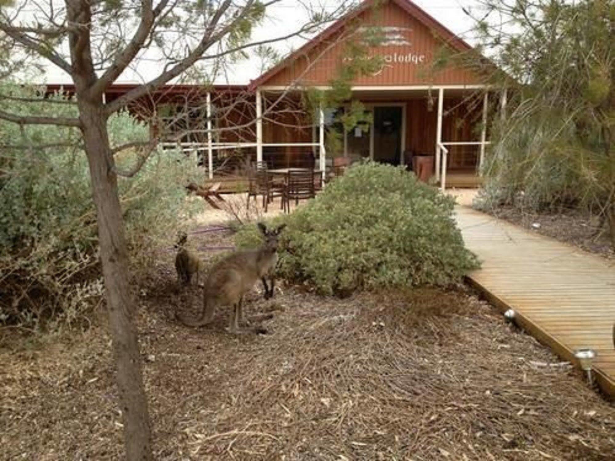 Mungo Lodge Exterior photo